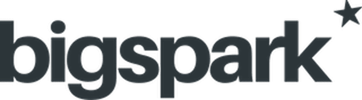 Bigspark brand logo